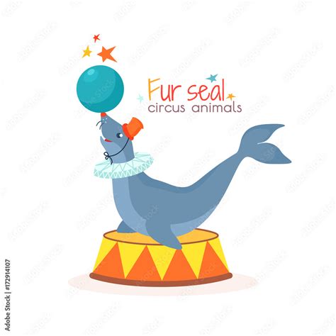 Circus Seal Clip Art