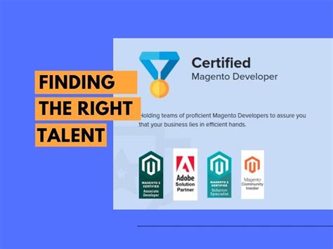 Magento Agencies Vs Freelancers What Is The Best Choice