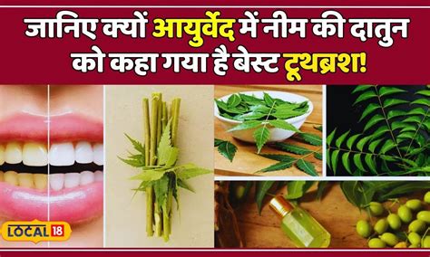 Neem Stick Benefits दांतों के लिए रामबाण है नीम का दातुन फायदे जानकर चौंक जाएंगे Local18