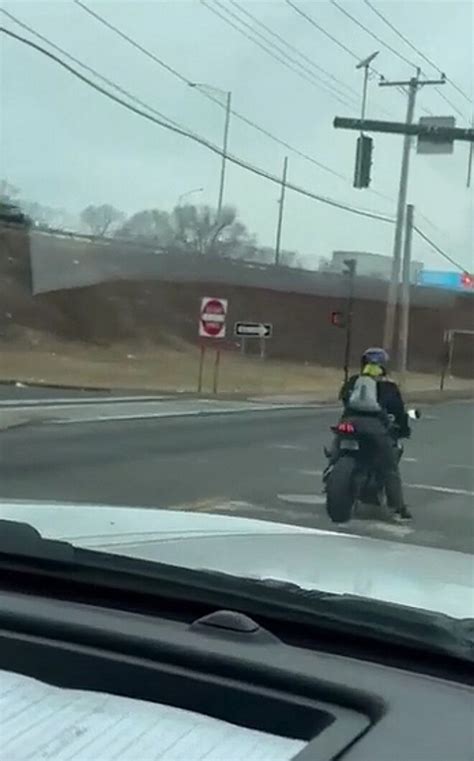 Motoqueiro é filmado levando cachorro de óculos na garupa e vídeo viraliza