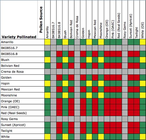 Oca Cross Pollination Chart Cultivariable