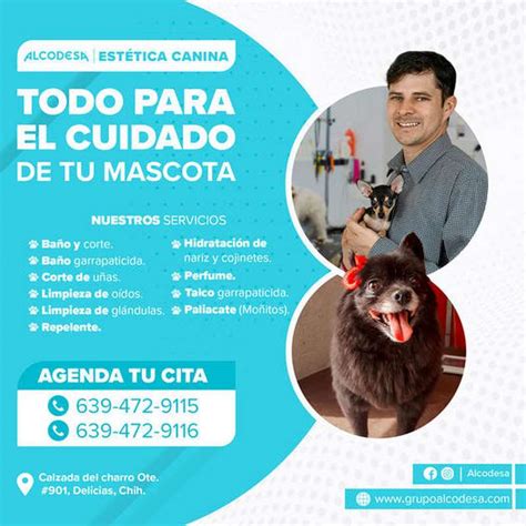 Los Mejores Cuidados Para Tu Mascota Farmacia ALCODESA Los Tiene