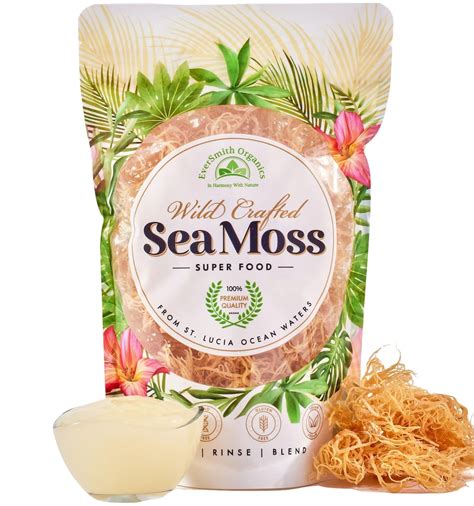 Irish Sea Moss Makes 160oz Of Gel Gold Sea Moss Organic Sea Moss