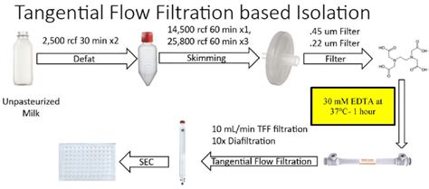 Overview Of Steps In The Optimized Tangential Flow Filtration