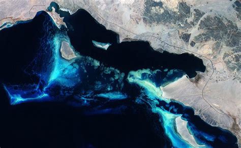 Space In Images 2015 07 Coral Reefs Off The Coast Of Saudi Arabia