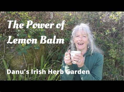 Danu’s Irish Herb Garden | Magickal Connections