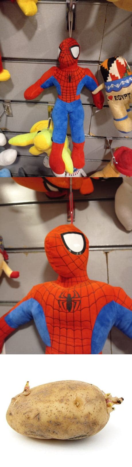 Best Funny Spooderman Memes 9gag