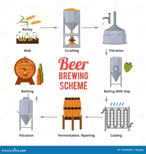 Etapas De La Producci N De La Cerveza S Mbolos Del Vector De La