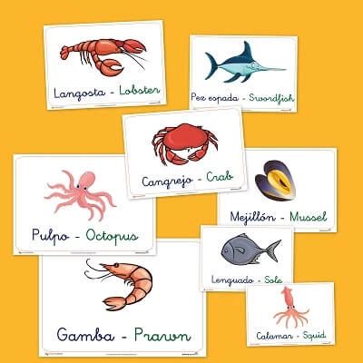 Vocabulario básico Pescados y mariscos