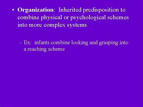 Piagets Theory Of Cognitive Development Key Constructs Schemes