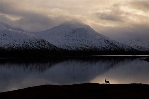 Meet the British Wildlife Photography Award winners | Adventure.com