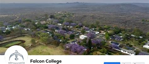 School Second Term Falcon College Increases Fees To 113 Million