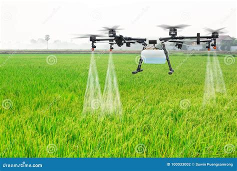 Agriculture Drone Fly To Sprayed Fertilizer On The Rice Fields Stock