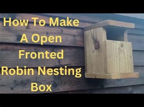 DIY Robin Bird House: A Step-by-Step Guide to Building Your Feathered ...