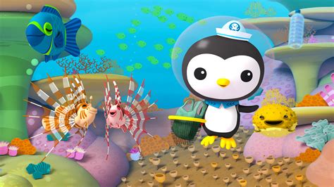 Герои Мультфильма Октонафты Имена И Фото – Telegraph