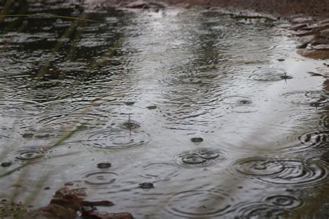 ETA de Bagé registra 40 milímetros de chuva Editoria Cidade Jornal