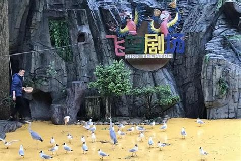 东湖飞鸟世界营业时间 几点开门旅泊网