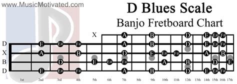 D Blues Scale On A Banjo Pentatonic Scale Banjo Blues Scale