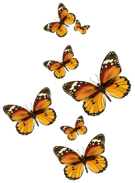 Butterflies Vector Png Clipart Picture Gallery Yopriceville High