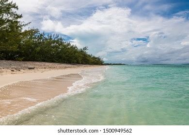 43 Coco plum beach Images, Stock Photos & Vectors | Shutterstock