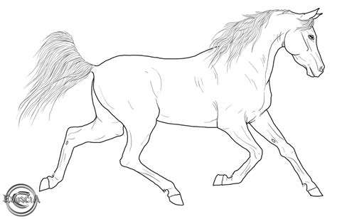 Free Horse Lineart By Eduscia On Deviantart