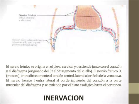 Hernias Diafragmaticas Ppt