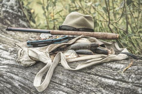 The Fish is Caught in a Tenkara. Fishing Gear Stock Photo - Image of ...