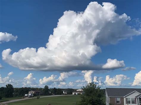 weather     find   weather