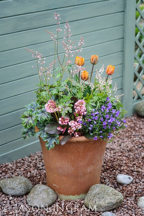 Spring Container Gardening with Bulbs