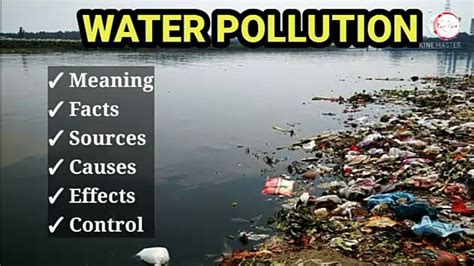 Water Pollution Meaning Facts Causes Sources Effects And Control