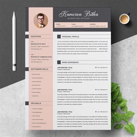 Professional Resume Template / CV Template Instant Download - Etsy