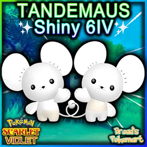 TANDEMAUS Shiny 6IV / Pokemon Scarlet and Violet / Lv1 Ready - Etsy