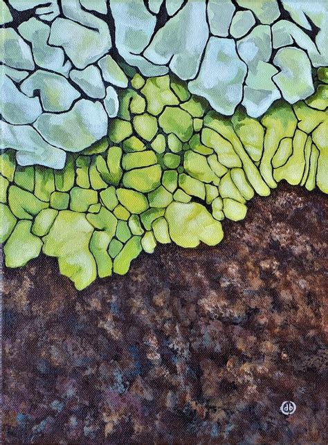 Lichen Crawl Painting By Desarae Buza Fine Art America