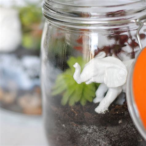 Learn How To Make Basic Terrariums How To Make Terrariums Terrarium