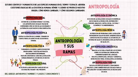 Antropolog A Y Sus Ramas Valeria Rojas Udocz