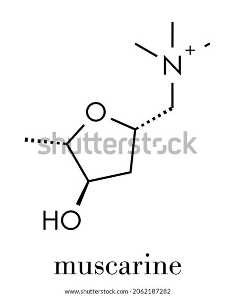 Molécula de toxina de hongos muscarinos vector de stock libre de