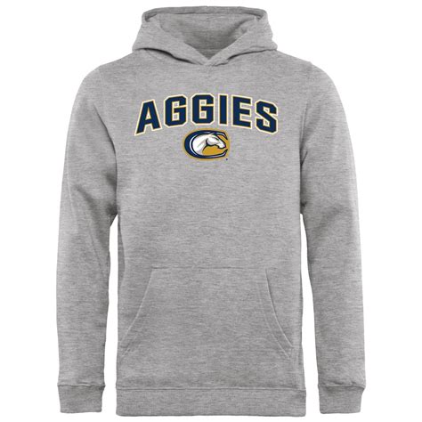 UC Davis Aggies Youth Proud Mascot Pullover Hoodie - Ash