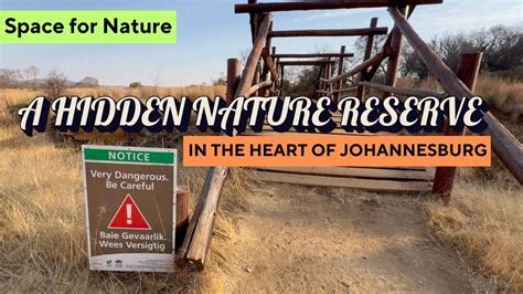 Discover Johannesburg S Hidden Gem Klipriviersberg Nature Reserve