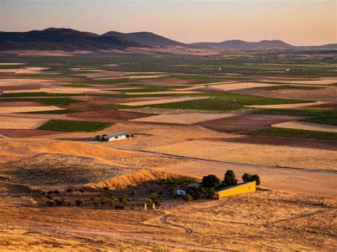 El Precio Medio De La Tierra Agrícola Sube 200 Euros Hectárea Con