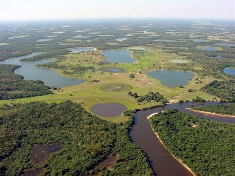 Lugares Que Ver Pantanal Brasil Bolivia Paraguay