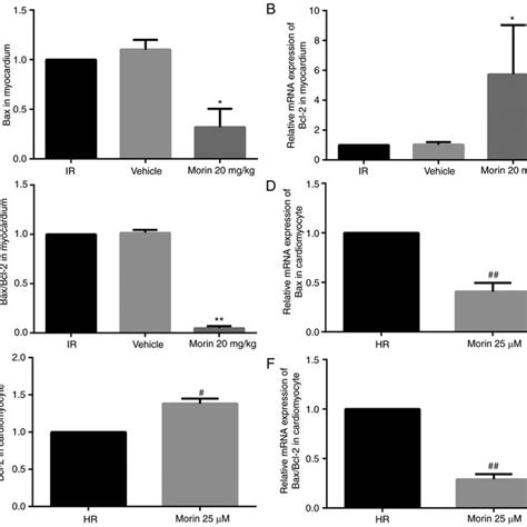 Relative Protein Expression Levels Of Bax And Bcl 2 And The Baxbcl 2 Download Scientific