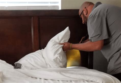 Bed Bug Exterminator Oldsmar Fl Bed Bug Experts