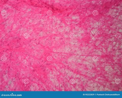 Histology Of Human Areolar Tissue Stock Image Image Of Organs Histology 95222829