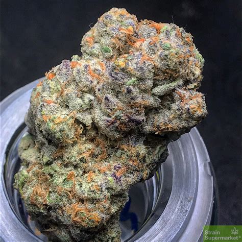 Love Cannabis – Runtz – Feminized Cannabis Seeds - StrainSupermarket.com