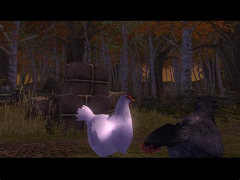 Скриншот Fable The Lost Chapters под номером 71