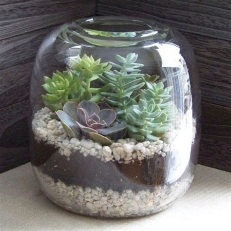 Terrarium Pour Plantes Tuto Pour Le Faire Et Plus De Super Mod Les