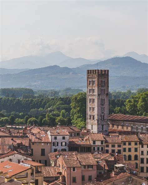 Tower And Basilica Of San Frediano Over Houses Of Lucca Tuscany Italy