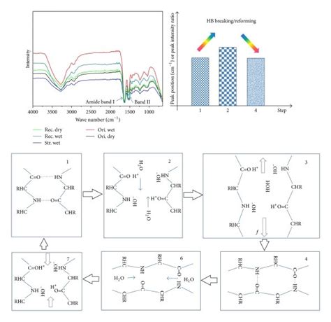 Variations Of Atr Ft Ir Peaks And Intermolecular Hydrogen Bonds Along Download Scientific