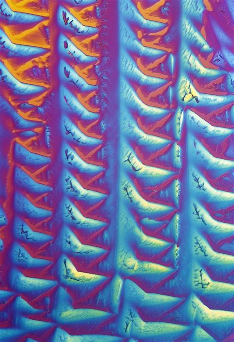 Gaba Crystals, Light Micrograph by Science Photo Library