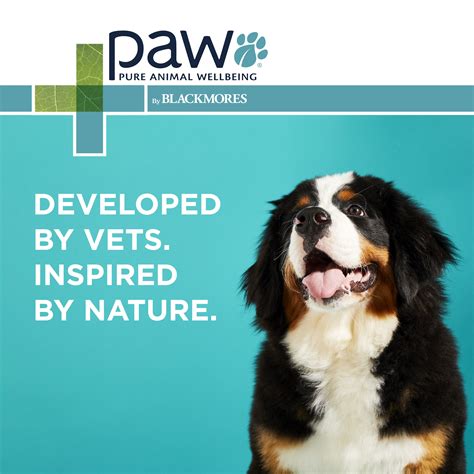 Paw Digest And Protect Puppy Care Petstock